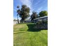 Spacious backyard with grassy lawn, mature trees, and a building in the background at 2687 W Ocotillo Rd, Phoenix, AZ 85017