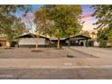 Updated mid-century home with landscaped yard and driveway at 1302 W Golden Ln, Phoenix, AZ 85021