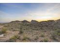 Scenic desert views showcasing native plants with a sunset backdrop at 14828 E Valley Vista Dr, Fountain Hills, AZ 85268