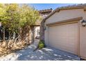 Landscaped side yard with a gated access to the backyard at 2554 E Honeysuckle Pl, Chandler, AZ 85286