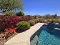 Lush backyard pool area with colorful bougainvillea, desert landscaping, and golf course view at 41716 N Laurel Valley Way, Anthem, AZ 85086