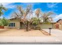 Ranch style home with large front yard and mature trees at 4529 W Columbine Dr, Glendale, AZ 85304