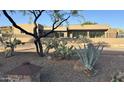 View of the exterior featuring desert landscaping with rocks and native plants plus a modern stucco home at 3703 S Avenida De Angeles --, Gold Canyon, AZ 85118