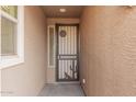 Front entry with iron security door featuring a coyote and cactus design at 1727 N 213Th Dr, Buckeye, AZ 85396