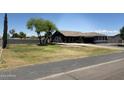Ranch-style house with a spacious yard and mature trees at 22834 E Mccowan Ct, Queen Creek, AZ 85142