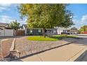 House with mature tree and landscaped yard at 3727 W Orangewood Ave, Phoenix, AZ 85051