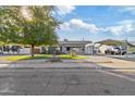 Ranch-style home with a carport and well maintained lawn at 3727 W Orangewood Ave, Phoenix, AZ 85051