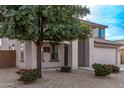 Two-story house with a large tree and desert landscaping at 3109 E Denim Trl, San Tan Valley, AZ 85143