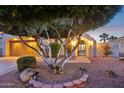Mature tree and pathway to entry at 22728 N Arrellaga Dr, Sun City West, AZ 85375