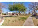 Community view with green lawns and mature trees at 1833 W Citrus Way, Phoenix, AZ 85015