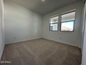 Spacious bedroom with neutral carpeting and large windows at 22859 E Lords Way, Queen Creek, AZ 85142