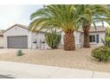 Front yard view of house with palm trees and gravel at 19612 N Wasson Peak Dr, Surprise, AZ 85387