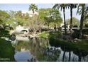 Serene pond with palm trees and bridge, offering a tranquil community setting at 2989 N 44Th St # 2001, Phoenix, AZ 85018