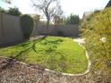 Spacious backyard with grassy lawn at 26811 N 41St Ct, Cave Creek, AZ 85331