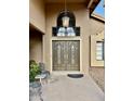Double front doors with decorative glass and a light fixture at 938 W Iris Dr, Gilbert, AZ 85233