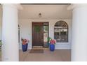 Elegant entryway with decorative door, potted plants, and classic columns at 250 E Voltaire Ave, Phoenix, AZ 85022