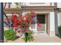 Front entry with a vibrant red bougainvillea bush and a security door at 4114 E Union Hills Dr # 1212, Phoenix, AZ 85050