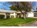 Ranch style home with a large tree in the front yard and a spacious driveway at 12510 W Brandywine Dr, Sun City West, AZ 85375