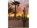 Stunning desert landscape featuring a majestic saguaro cactus silhouetted against a vibrant sunset at 29306 N 70Th Way, Scottsdale, AZ 85266