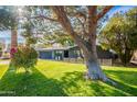 Charming home exterior with manicured lawn, mature tree, and a well-maintained facade, showcasing curb appeal at 2942 N 81St Pl, Scottsdale, AZ 85251