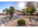 House exterior with drought-tolerant landscaping and palm trees at 14215 W Mountain Laurel Trl, Surprise, AZ 85374