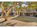 Inviting community courtyard with mature trees and grassy areas at 19601 N 7Th St # 1042, Phoenix, AZ 85024