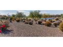 Landscaped backyard with desert plants and a gravel pathway at 21532 N 262Nd Ln, Buckeye, AZ 85396