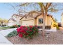 House exterior with red flowers and a tree at 22708 N Kennedy Dr, Maricopa, AZ 85138