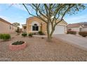 Attractive single-story home with a landscaped front yard and two-car garage at 23677 N Desert Dr, Florence, AZ 85132