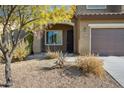 Landscaped front yard with drought-tolerant plants at 38213 N Raleigh Way, Anthem, AZ 85086