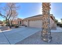 Home's exterior featuring a large palm tree and a two-car garage at 143 S Los Cielos Ln, Casa Grande, AZ 85194