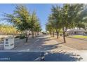 Long driveway leading to a two-car garage at 24435 S 195Th St, Queen Creek, AZ 85142