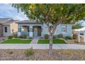 Charming house with walkway, landscaping, and a tree in front at 4137 E Ronald St, Gilbert, AZ 85295