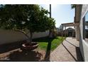 Landscaped backyard with a brick patio and a small tree at 1636 E Juanita Ave, Mesa, AZ 85204