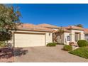 Attractive single-story home with light-colored exterior and a landscaped front yard at 24826 S Stoney Lake Dr, Sun Lakes, AZ 85248