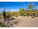 Paver driveway leading to the house surrounded by lush desert landscaping featuring mature trees and cacti at 10567 E Mark Ln, Scottsdale, AZ 85262