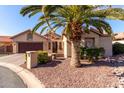 Tan two-car garage home with desert landscaping and a large palm tree in front at 25046 S Foxglenn Dr, Sun Lakes, AZ 85248