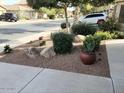 Landscaped front yard with desert plants and rock at 42659 W Sunland Dr, Maricopa, AZ 85138