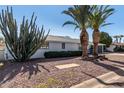 Charming mid-century home with mature landscaping and a unique cactus at 7513 E Minnezona Ave, Scottsdale, AZ 85251