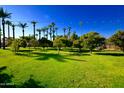 Expansive grassy backyard with mature orange trees and string lights at 7249 N Central Ave, Phoenix, AZ 85020