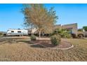 Landscaped yard with a large tree and RV parking at 9109 S 220Th Dr, Buckeye, AZ 85326