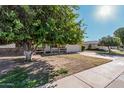 House exterior showcasing a large tree and a brick walkway at 10407 W Desert Forest Cir, Sun City, AZ 85351