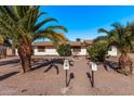 Ranch style home with mature palm trees and a spacious yard at 11530 E Marguerite Ave, Mesa, AZ 85208