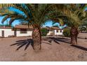 Ranch style home with mature palm trees and a spacious yard at 11530 E Marguerite Ave, Mesa, AZ 85208