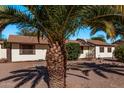 Ranch style home with mature palm trees and a spacious yard at 11530 E Marguerite Ave, Mesa, AZ 85208