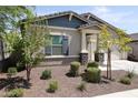 House exterior with landscaping and two trees in front at 21166 W Monte Vista Rd, Buckeye, AZ 85396