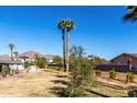 Large backyard with palm trees and mountain views at 5331 E Virginia Ave, Phoenix, AZ 85008