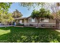 Front view of a house with a grassy lawn and trees at 3601 W Solano Dr, Phoenix, AZ 85019