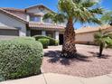 Two-story house with desert landscaping and a large palm tree in the front yard at 11432 E Quicksilver Ave, Mesa, AZ 85212