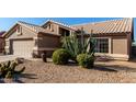 Tan house with cacti and gravel landscaping at 3832 N 162Nd Ln, Goodyear, AZ 85395